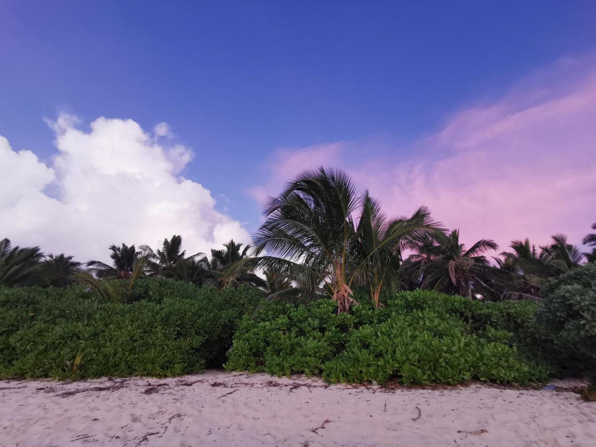 Aqua Oasis Hotel Thoddoo Eksteriør billede